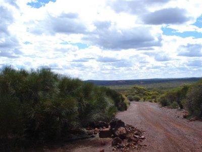 local area