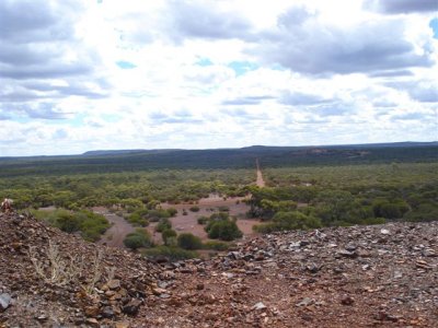 local area