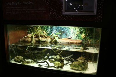 Reptile House