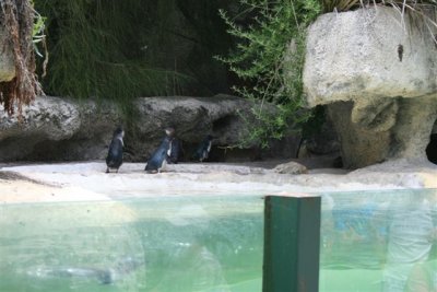 Perth Zoo (11).jpg