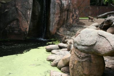 Perth Zoo (23).jpg
