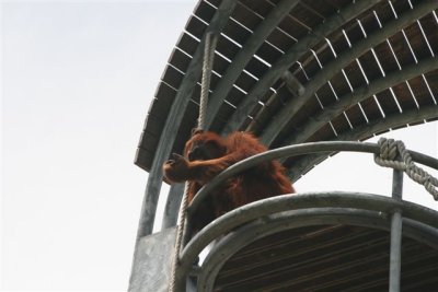 Perth Zoo (51).jpg