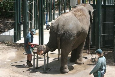 Perth Zoo (81).jpg