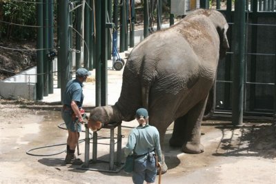 Perth Zoo (82).jpg