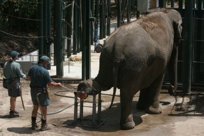 Perth Zoo (83).jpg