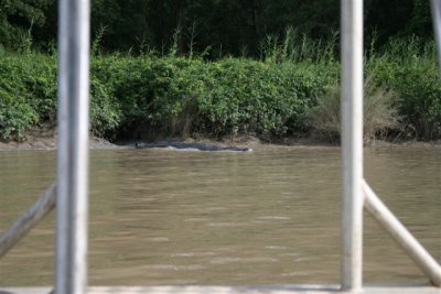 25.09.09 5th stop Croc river trip (132).JPG