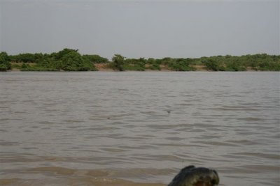 25.09.09 5th stop Croc river trip (138).JPG
