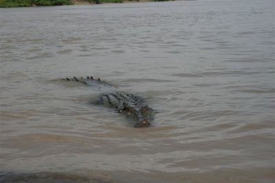 25.09.09 5th stop Croc river trip (141).JPG