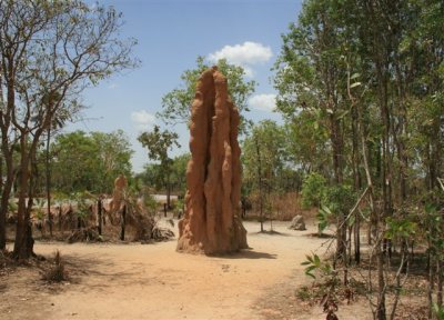 25.09.09 4th stop Termite mounds (66).JPG