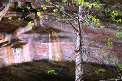 Ubirr Rockart gallery (37).JPG