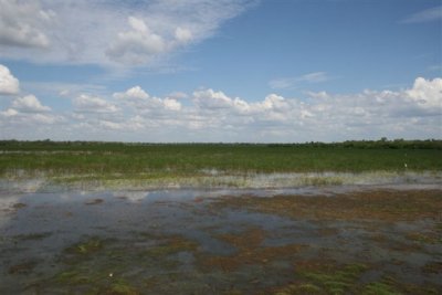 Mamukala Wetlands (18).JPG