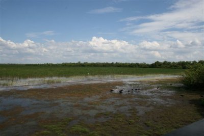 Mamukala Wetlands (19).JPG