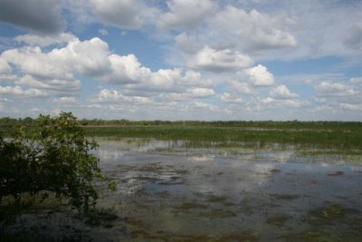 Mamukala Wetlands (20).JPG