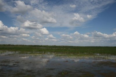 Mamukala Wetlands (21).JPG