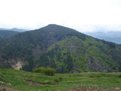 Chelopech Valley (2).JPG