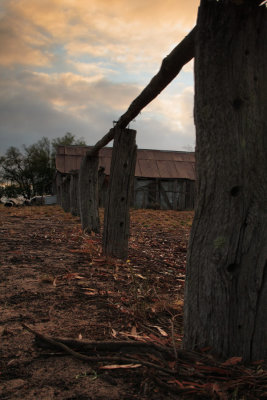 Farmyard 2