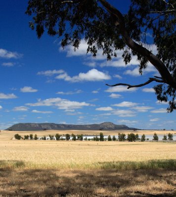 Mt Arapiles