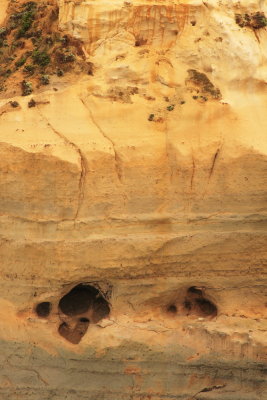 Port Campbell and the Otway Ranges