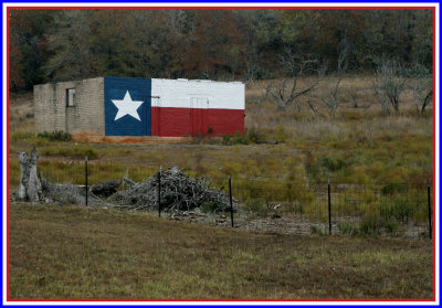Texas Flag House