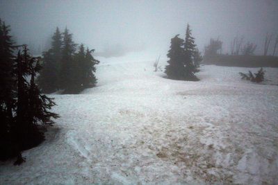 Timberline Lodge 