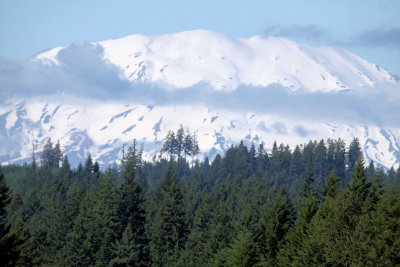 Mount St. Helens 