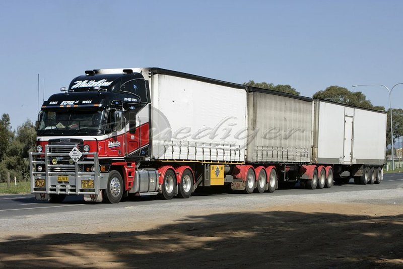 Freightliner Argosy (TR_1305)