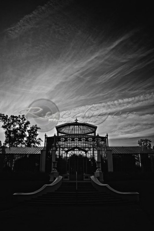 Botanic Gardens (914_9870)