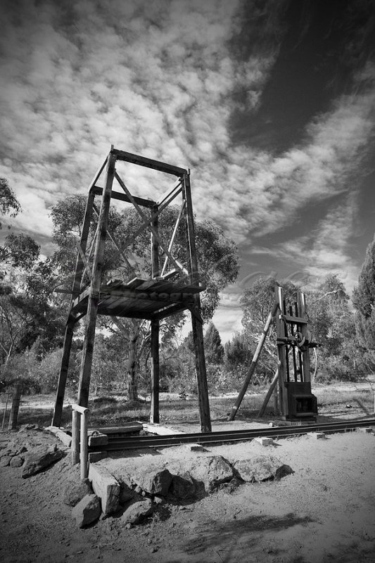 Goldfields (100_4920)