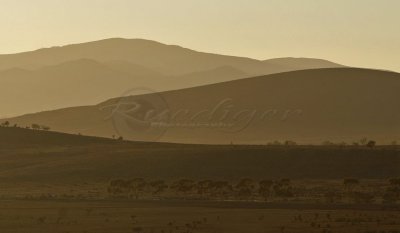 Flinders Ranges (FR_0914)