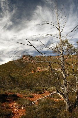 Wilpena Pound (FR_0958)