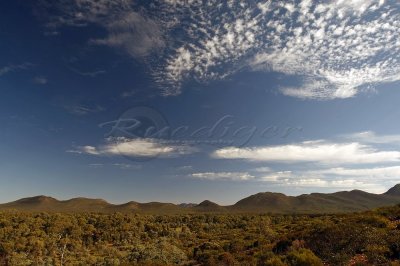 Wilpena Pound (FR_0981)