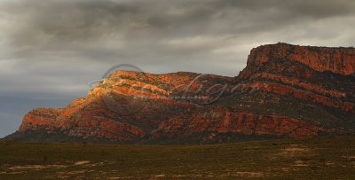 Wilpena Pound (FR_1087)