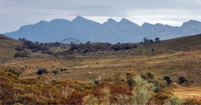 Wilpena Pound (FR_1105)