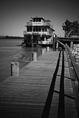 Captain Proud - Murray River (919_7518)