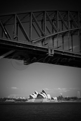 Sydney Opera House (100_4406)
