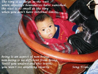 The Vast and The Tiny.JPG
