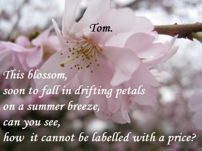 Blossom 4.bmp