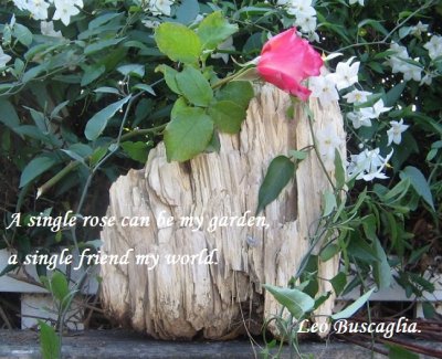 Garden.1.jpg
