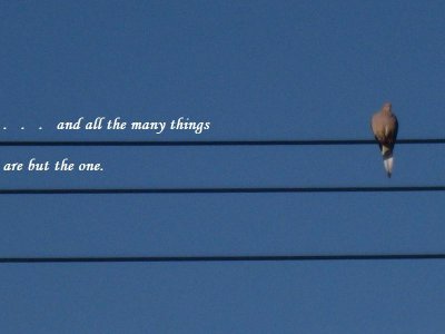 and all the many things.JPG