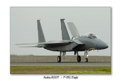 USAF F-15C Eagle