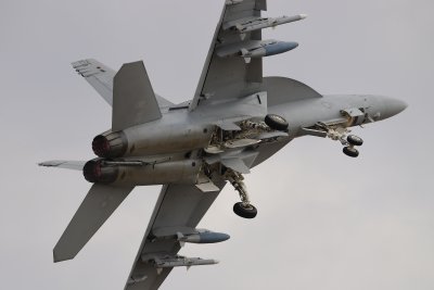 F/A-18F Super Hornet