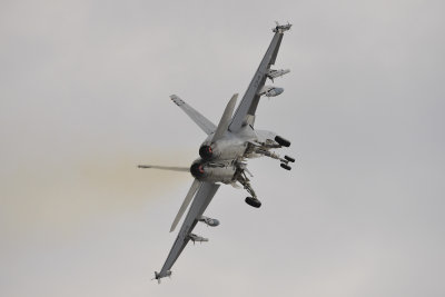 F/A-18F Super Hornet