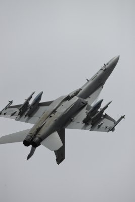 F/A-18F Super Hornet