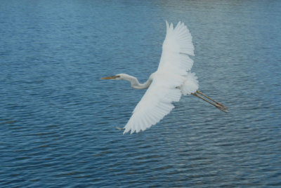DSC_0076.jpg