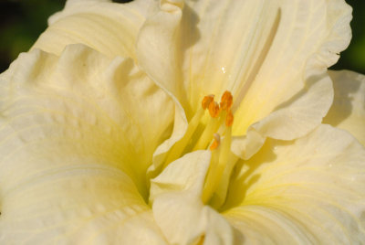 DSC_0077.jpg