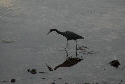 DSC_0086.jpg