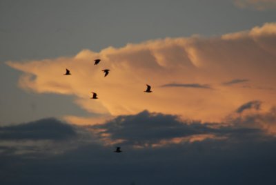 DSC_0162.jpg