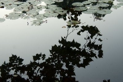_DSC0012.jpg
