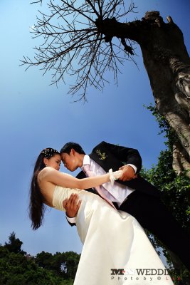 IMG_9324 copy.jpg