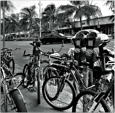 Bicycle Homeless